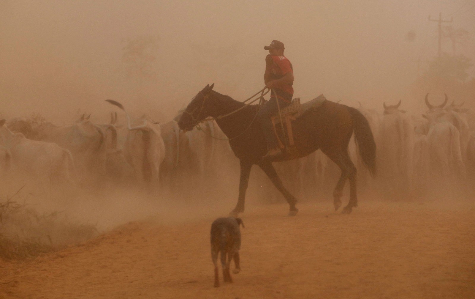 Fumaça toma conta da Transgarimpeira, em Itaituba (PA) — Foto: Cristiano Mariz