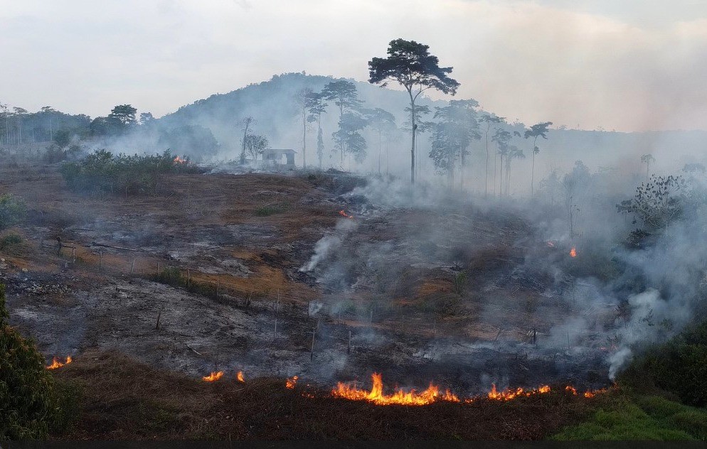 Fogo em área às margens da BR-163, perto do distrito de Moraes Almeida, em Itaituba (PA) — Foto: Cristiano Mariz