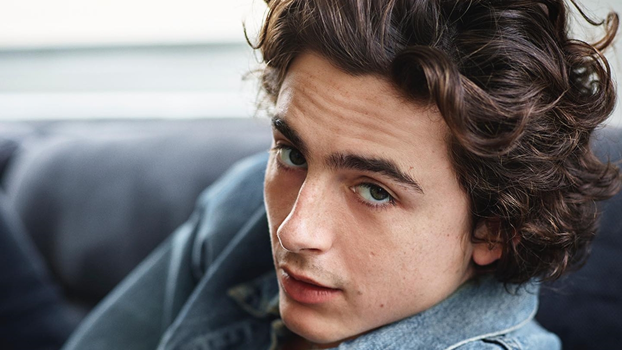 A fortuna de Timothée Chalamet: números que impressionam!