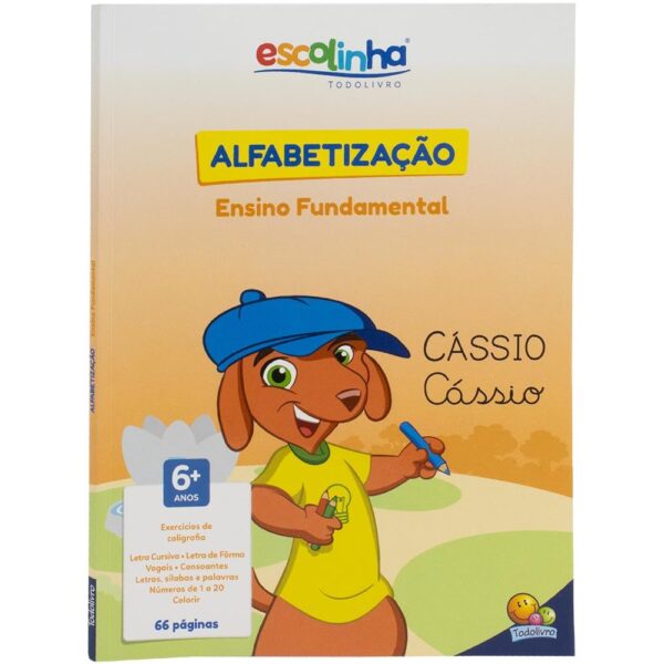 Alfabetização (Ensino Fundamental) (Escolinha Todolivro)