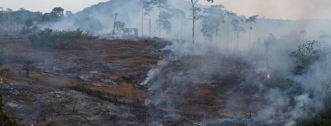 Fogo em área às margens da BR-163, perto do distrito de Moraes Almeida, em Itaituba (PA) — Foto: Cristiano Mariz