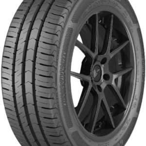 PNEU GOODYEAR ARO 16 DIRECTION SPORT 2 205/55R16 91V