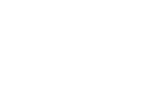 Stake.us