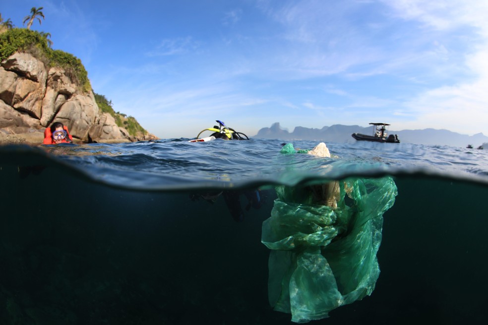 Nas Ilhas Cagarras, no Rio de Janeiro, vida marinha foi invadida por plásticos — Foto: Custodio Coimbra