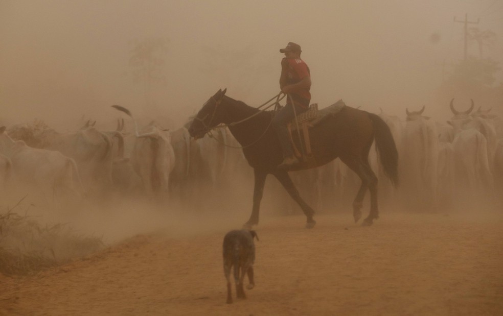 Peão toca o gado na BR 163, na Rodovia Transgarimpeira, enquanto a fumaça das queimadas toma conta da paisagem — Foto: Cristiano Mariz/Agência O Globo