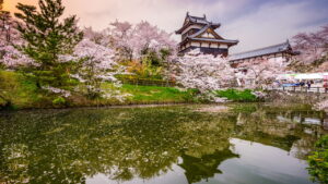 Conheça Nara: Uma Viagem no Tempo pela História do Japão