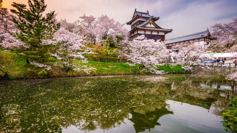 Conheça Nara: Uma Viagem no Tempo pela História do Japão