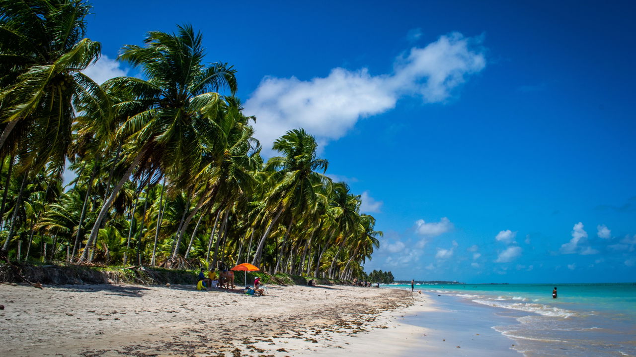 Descubra o Caribe Brasileiro: As Belezas Naturais de Maragogi