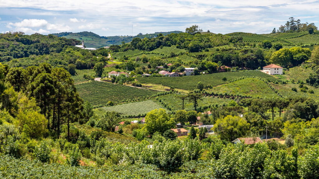 Bento Gonçalves: Uma Imersão nos Vinhos e Paisagens da Serra Gaúcha