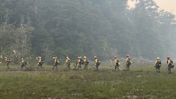 Brigadistas continuam combatendo o incêndio