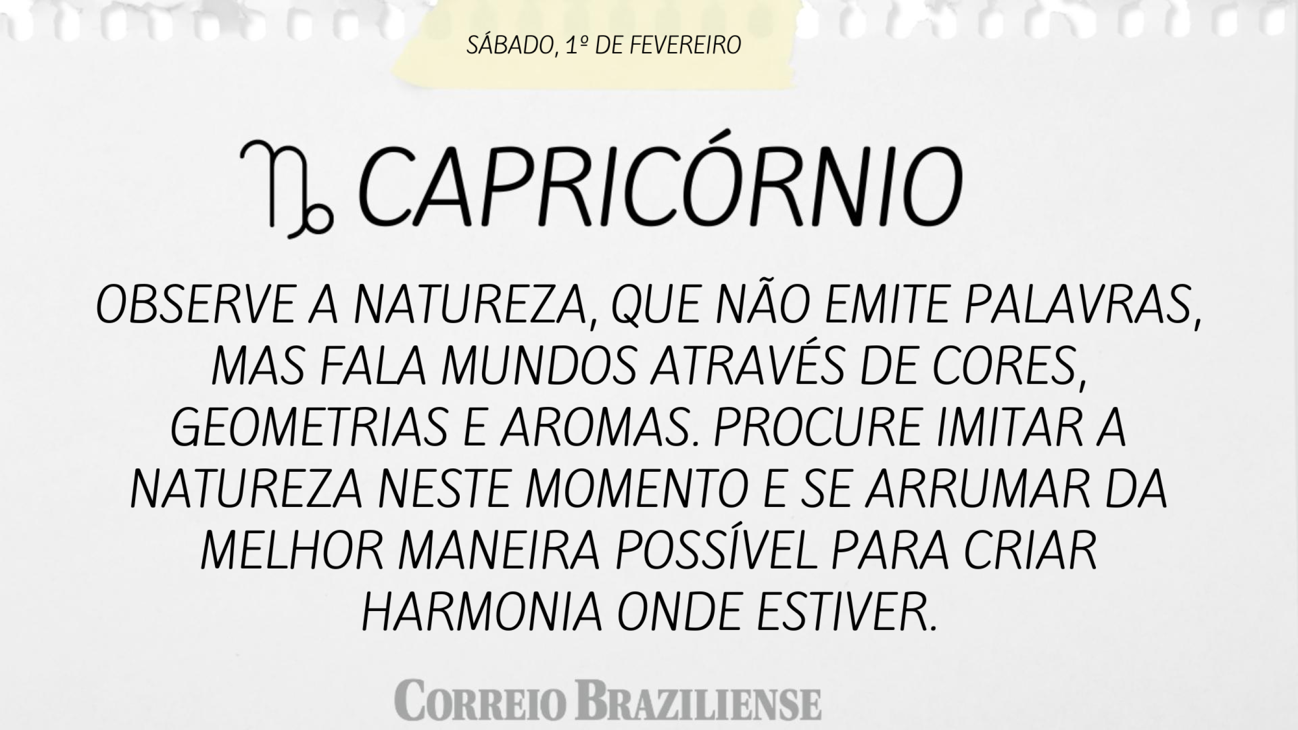 CAPRICÓRNIO | 1º DE FEVEREIRO