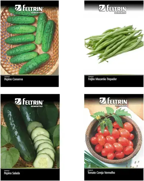 Kit 4 Sementes Legumes