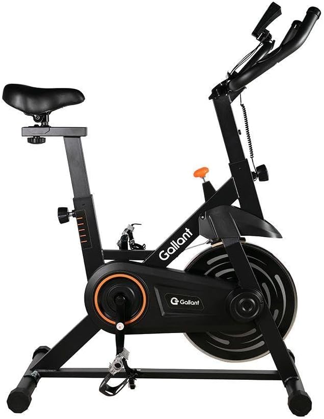 Bicicleta Ergométrica Spinning Gallant Trainer Roda de 6kg (gsb06hbta-pt) 3 51o0Dzi0bcL. AC SL1000